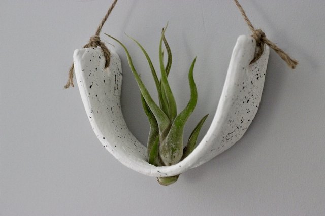 How to Make Custom Hanging Plant Pots for Air Plants or Succulents