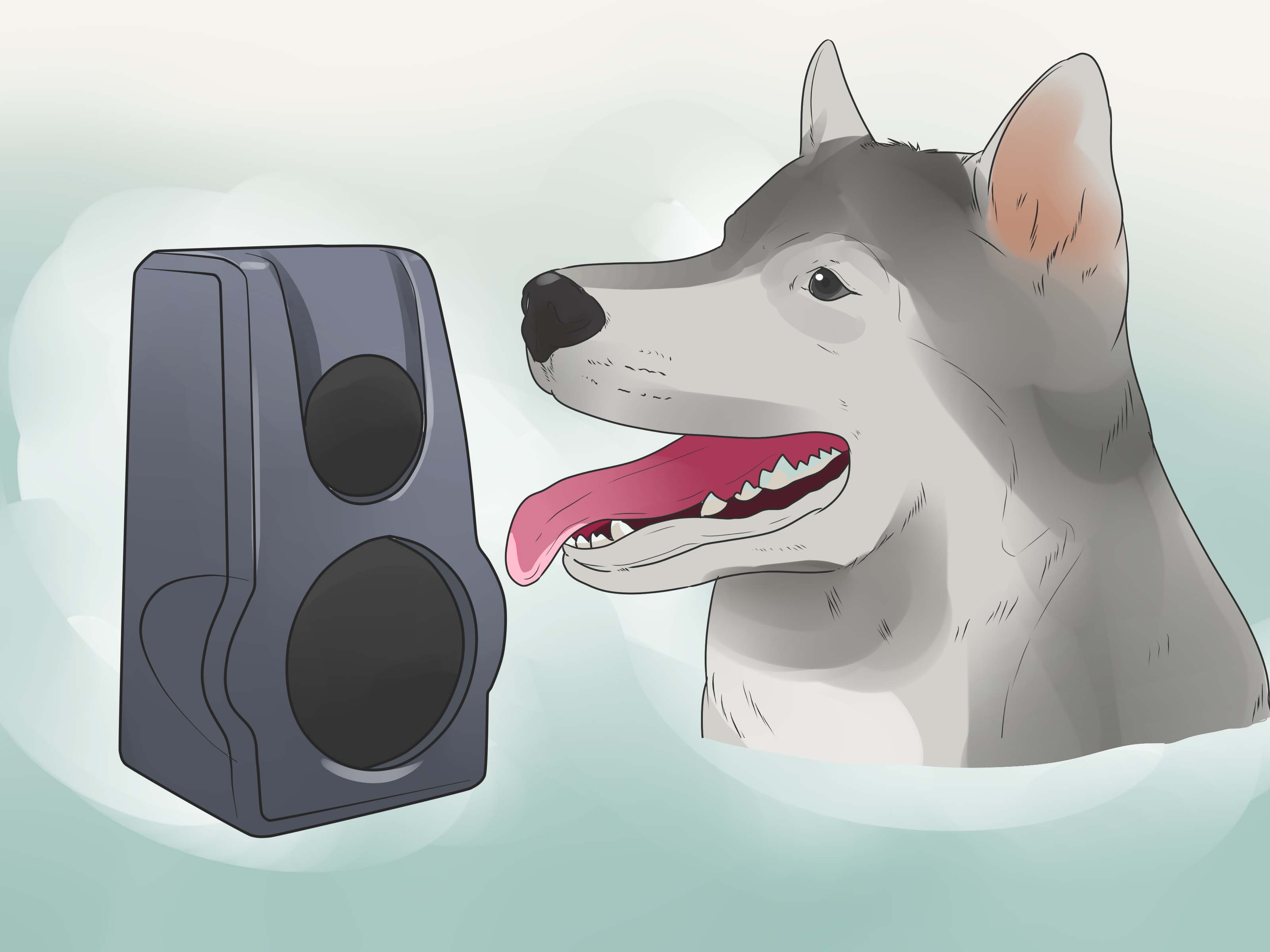 3 Ways to Deal With a Neighbor’s Barking Dog