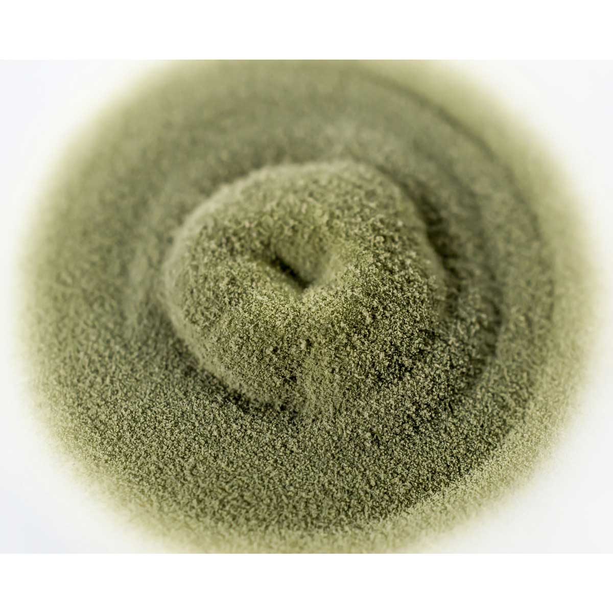 Alternaria Mold: What to Know About the Dangerous Mold